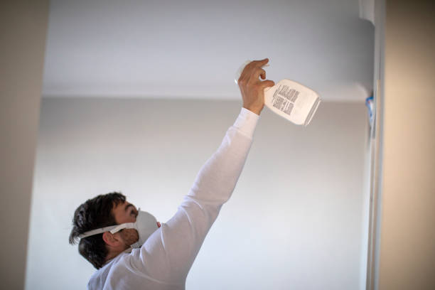 Best Residential Mold Remediation in Palestine, IL