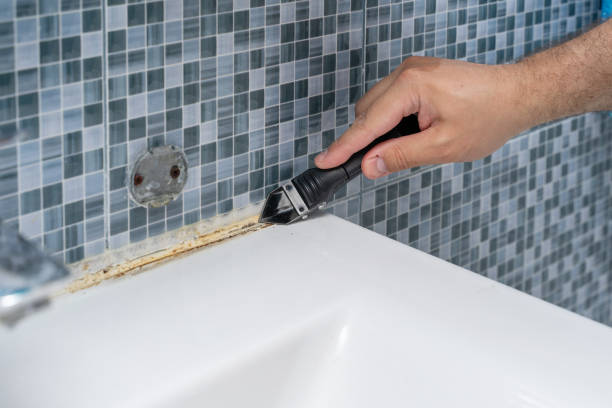 Best Residential Mold Remediation in Palestine, IL
